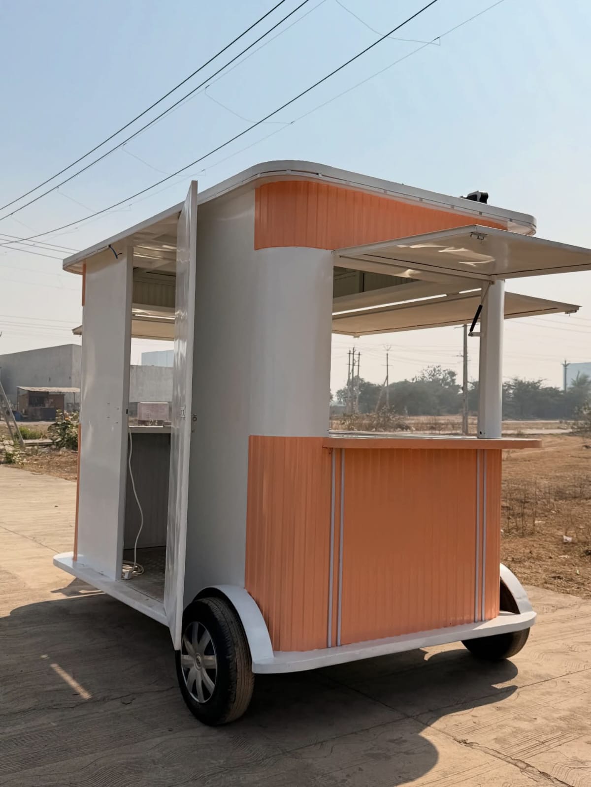 Momo & Snacks Cart